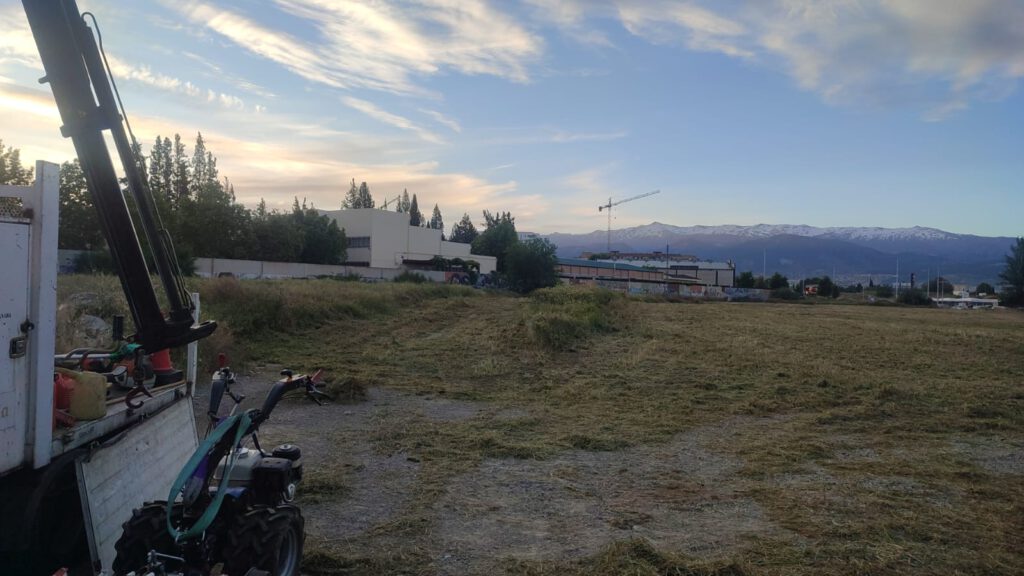 Desbroce en el solar que acogerá el sesteo de las carretas de la Hermandad del Rocío antes de su salida a la aldea de Almonte - 