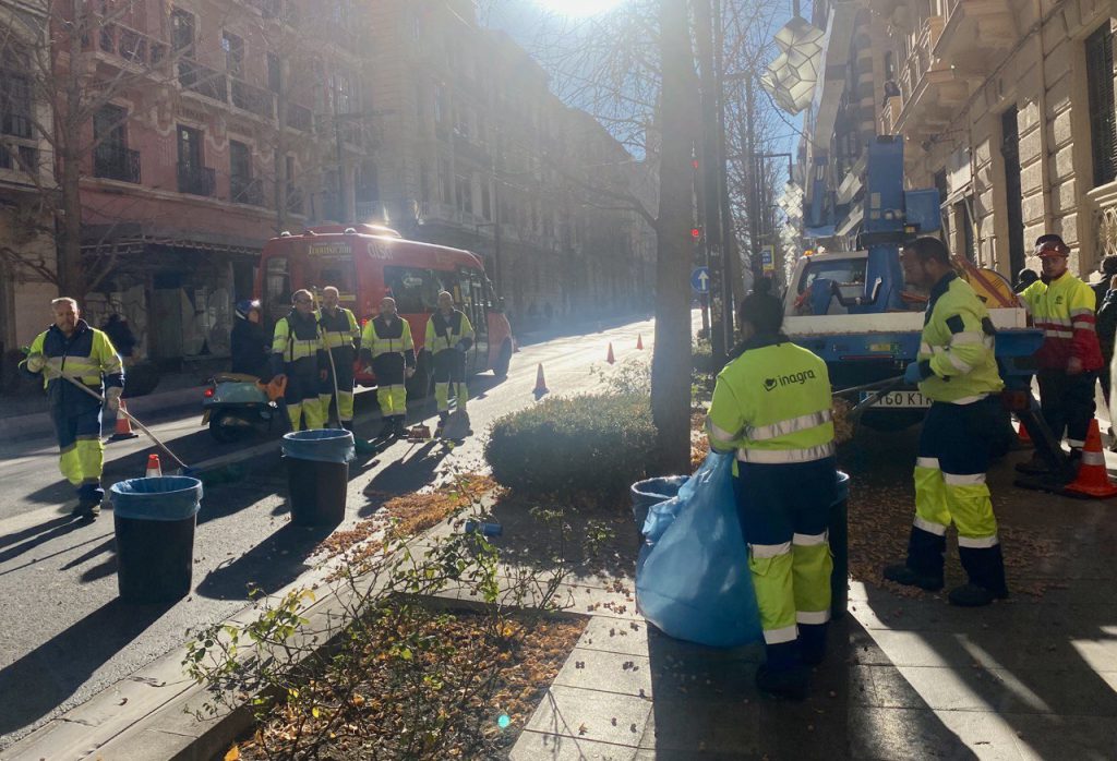 Actuación en los Gingko Biloba de Gran Vía - 