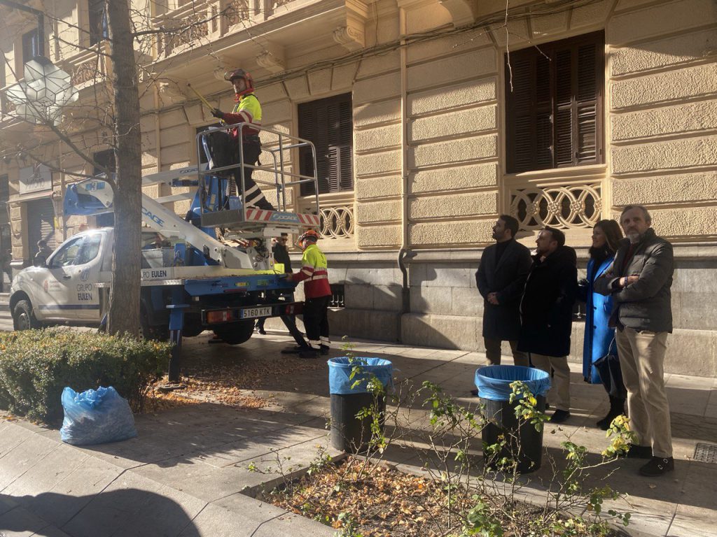 Actuación en los Gingko Biloba de Gran Vía - 